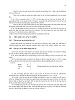 Giáo trình thực vật có hoa part 5 ppt