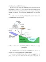 Bài giảng Những tiến bộ mới trong chuồng trại và quản lý chất thải trong chăn nuôi part 6 pps