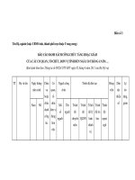 MẪU BÁO CÁO DANH SÁCH CÔNG CHỨC TĂNG HOẶC GIẢM CỦA CÁC CƠ QUAN, TỔ CHỨC, ĐƠN VỊ TÍNH ĐẾN NGÀY 30 THÁNG 6 NĂM pot