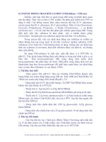 Giáo trình thực tập vi sinh vật chuyên ngành part 9 doc