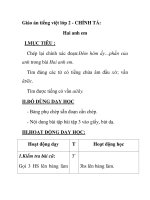 Giáo án tiếng việt lớp 2 - CHÍNH TẢ: Hai anh em pot