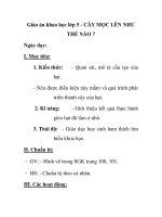 Giáo án khao học lớp 5 - CÂY MỌC LÊN NHƯ THẾ NÀO ? pps