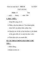 Giáo án toán lớp 5 - Tiết 14 LUYỆN TẬP CHUNG pptx