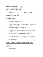 Giáo án toán lớp 5 - Tiết 13 LUYỆN TẬP CHUNG ppsx