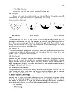 Bài giảng nội khoa : THẬN TIẾT NIỆU part 3 docx