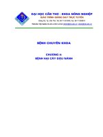 Bài giảng bệnh chuyên khoa nông nghiệp : BỆNH HẠI CÂY ĐẬU NÀNH part 1 pps