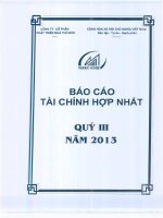 công ty phát triển nhà thủ đức báo cáo tài chính hợp nhất quý 3 năm 2013