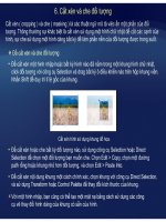 Tự học Indesign CS2 : Khung và đối tượng part 9 potx