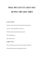 PHÁC ĐỒ CẤP CỨU CHẢY MÁU ĐƯỜNG TIÊU HOÁ TRÊN pptx