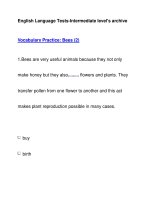 English Language Tests-Intermediate level''''s archiveVocabulary Practice: Bees (2) pptx
