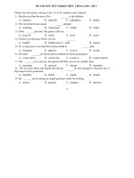 ĐỀ THI THỬ TỐT NGHIỆP MÔN: TIẾNG ANH – ĐỀ 2 ppt