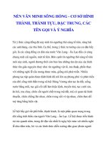 NỀN VĂN MINH SÔNG HỒNG - CƠ SỞ HÌNH THÀNH, THÀNH TỰU, ĐẶC TRƯNG, CÁC TÊN GỌI VÀ Ý NGHĨA_2 doc