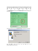 Giáo trình hướng dẫn sử dụng transfrom direction để tạo layer quick mask trong việc ghép ảnh vào nền p9 pdf