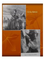 Nuôi trồng tảo lớn - part 3 pps