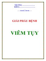 VIÊM TỤY pptx