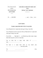 MẪU QUYẾT ĐỊNH Xử phạt vi phạm hành chính về tần số vô tuyến điện ppt