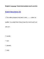 English Language Tests-Intermediate level''''s archiveEnglish Slang Idioms (33) doc