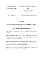 MẪU QUYẾT ĐỊNH Về việc phê duyệt kết quả trúng đấu giá chuyển nhượng quyền sử dụng đất Khu đất pps