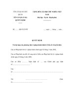 MẪU QUYẾT ĐỊNH Trả lại tang vật, phương tiện vi phạm hành chính về tần số vô tuyến điện pdf