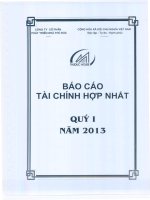 công ty phát triển nhà thủ đức báo cáo tài chính hợp nhất quý 1 năm 2013