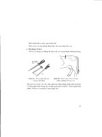 Sổ tay điều trị một số bệnh phổ biến ở vật nuôi part 10 potx