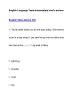 English Language Tests-Intermediate level''''s archiveEnglish Slang Idioms (66) potx