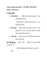 Giáo án khoa học lớp 5 - SỰ BIẾN ĐỔI HOÁ HỌC.( Tiếp theo ) doc