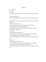 Tiểu luận hướng đi cho việt nam trong thời kì quá độ lên chủ nghĩa xã hội