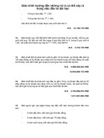 Giáo trình hướng dẫn những rủi ro có thể xảy ra trong việc đầu tư dài hạn phần 1 ppsx