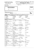 ĐỀ KIỂM TRA CHẤT LƯỢNG HỌC KỲ 1 (2010 - 2011) MÔN: TIẾNG ANH KHỐI 12 ( Mã đề 01) doc