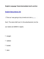 English Language Tests-Intermediate level''''s archiveEnglish Slang Idioms (34) pdf
