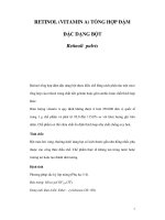 RETINOL (VITAMIN A) TỔNG HỢP ĐẬM ĐẶC DẠNG BỘT pdf