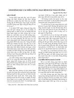 Sinh bệnh học các biến chứng mạn bệnh đái tháo đường