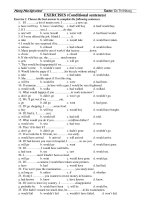 EXERCISES (Conditional sentences) pdf