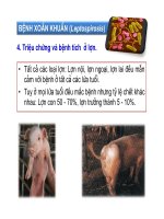 Thú y cơ bản : Các bệnh truyền nhiễm part 7 docx