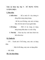 Giáo án khao học lớp 5 - SỬ DỤNG NĂNG LƯỢNG ĐIỆN pot
