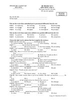 ĐỀ THI HỌC KỲ I MÔN TIẾNG ANH 12 docx