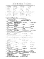 BỘ ĐỀ ÔN THI ĐH-CĐ NĂM 2011 docx