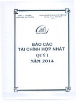 công ty phát triển nhà thủ đức báo cáo tài chính hợp nhất quý 1 năm 2014