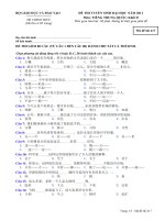 ĐỀ THI TUYỂN SINH ĐẠI HỌC KHỐI D NĂM 2011 MÔN TIẾNG TRUNG - MÃ ĐỀ 417 docx