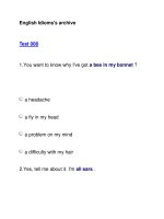 English Idioms''''s archiveTest 008 pptx