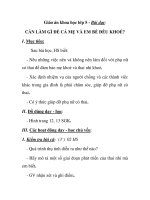 Giáo án khoa học lớp 5 - Bài dạy: CẦN LÀM GÌ ĐỂ CẢ MẸ VÀ EM BÉ ĐỀU KHOẺ? pps