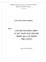 skkn làm thế nào phát triển tư duy ngôn ngữ cho trẻ thông qua các nhóm thực phẩm
