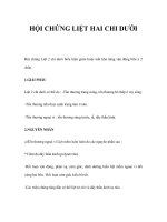 HỘI CHỨNG LIỆT HAI CHI DƯỚI pot