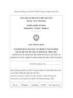 MẪU GIẤY CHỨNG NHẬN BẢO HIỂM HOẶC BẢO ĐẢM TÀI CHÍNH VỀ TRÁCH NHIỆM DÂN SỰ ĐỐI VỚI TỔN THẤT Ô NHIỄM DẦU NHIÊN LIỆU pps
