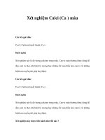 Xét nghiệm Calci (Ca ) máu ppsx