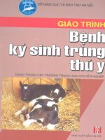 Giáo trình bệnh ký sinh trùng thú y - Mở đầu doc