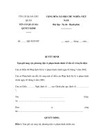 MẪU QUYẾT ĐỊNH Tạm giữ tang vật, phương tiện vi phạm hành chính về tần số vô tuyến điện docx