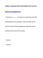 English Language Tests-Intermediate level''''s archiveReal Life: Occupations (3) ppt