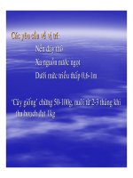 Nuôi trồng tảo lớn - part 5 doc